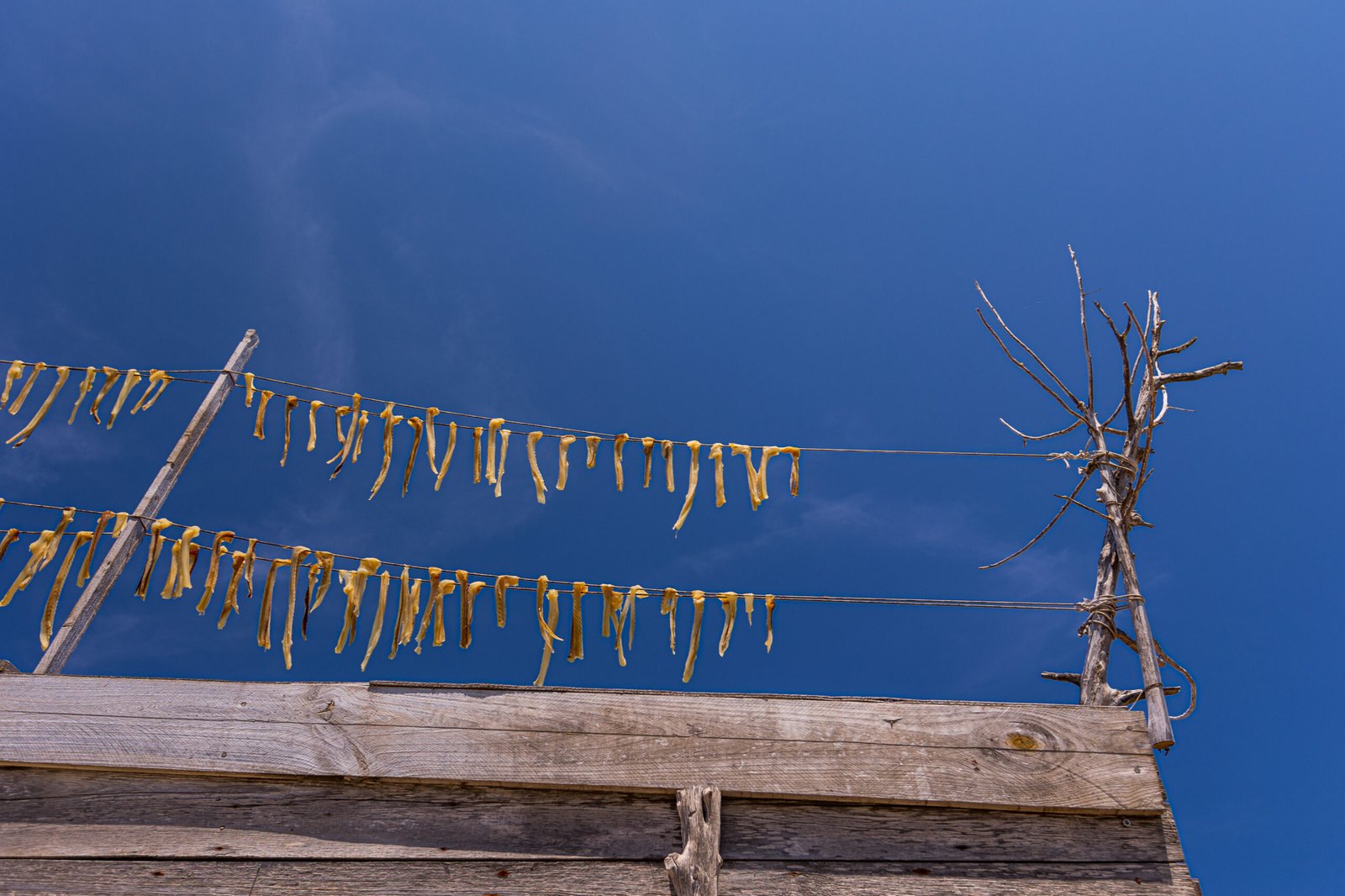 Scoprite la gastronomia di Formentera