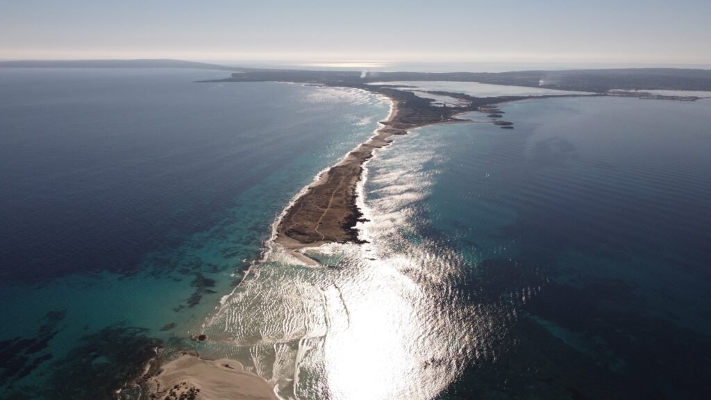 ses illetes