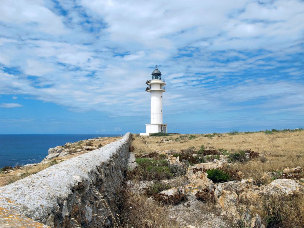 cap barbaria