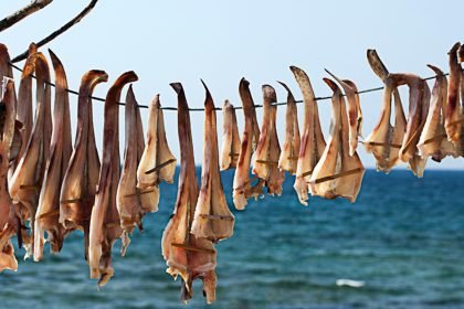 pescado-seco peix sec