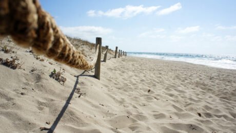 Es Cavall den Borras